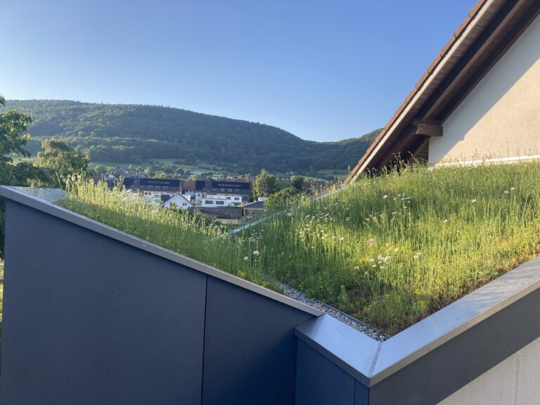 Einfach grün - auf dem Schrägdach